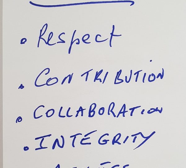 NOW Business Network core values image.